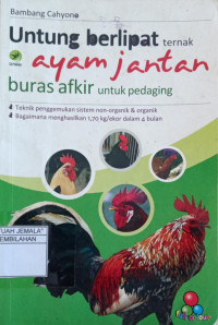 Image of Untung Berlipat Ternak Ayam Jantan Buras Afkir Untuk Pedaging